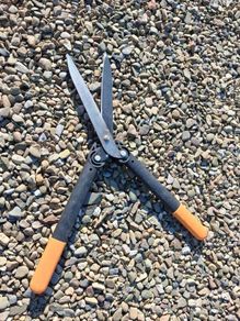 Fiskars shears