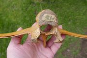 Vintage Bone