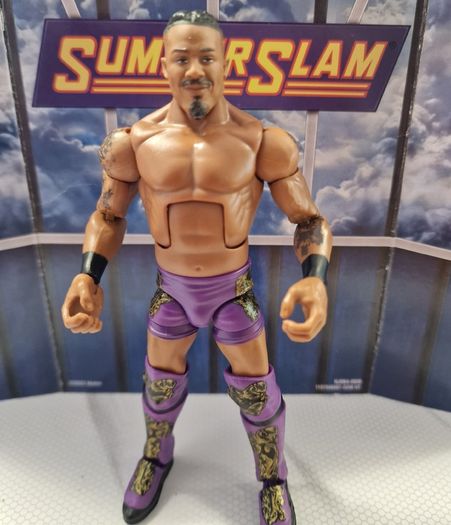 WWE Mattel Elite Wrestling Figures IO Sky Carmello Hayes MORE
