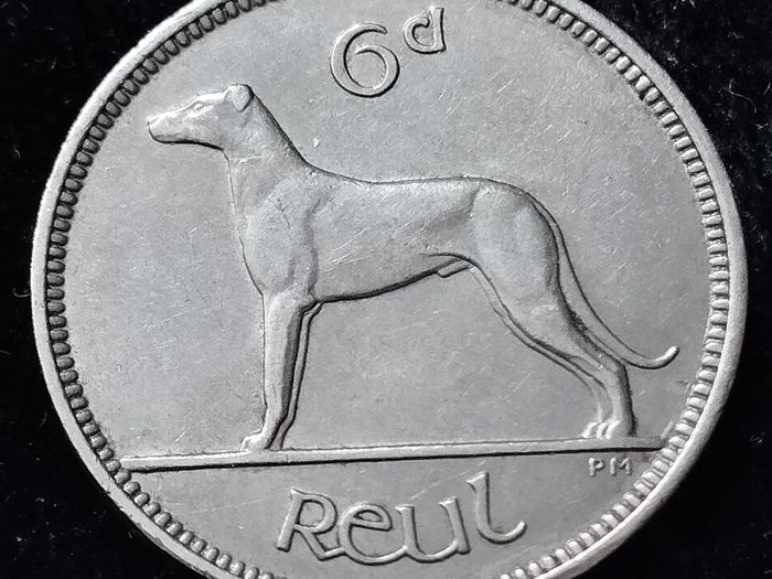 Ireland - 1928 - 6 Pence - Wolfhound - KM.5 - [794]