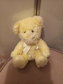 Baby Teddy soft toy