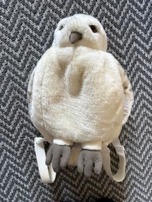 Harry Potter-official- Owl backpack from USA park