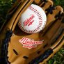 Midwest Baseball Glove & Ball Image 3