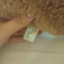 squishmallow Image 3