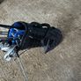 Full golf set and bag Image 3