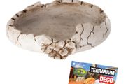 Reptile Nova Terrarium Ornament Bowl DINOEGG