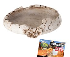 Reptile Nova Terrarium Ornament Bowl DINOEGG