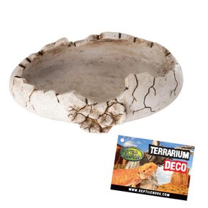 Reptile Nova Terrarium Ornament Bowl DINOEGG