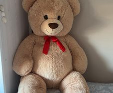teddy