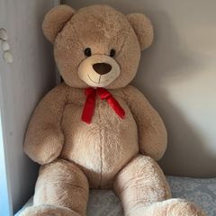 teddy
