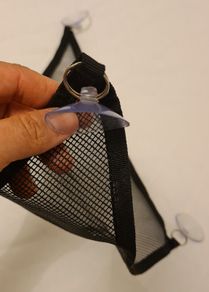 Reptile hammock