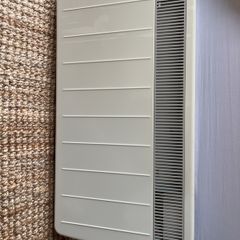 Dimplex wall mounted plug in radiator