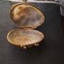 Antique Shell Trinket Pill Image 2