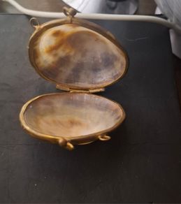 Antique Shell Trinket Pill