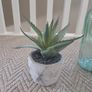 collection of decor Image 2