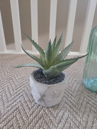 collection of decor