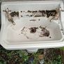sink Image 3