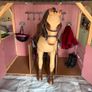 Our generation stables with two horses and accessories seen in photos Image 7