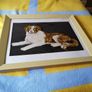 Vintage Needle Point Dog Framed Picture Image 4