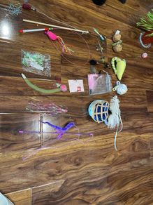 cat toy