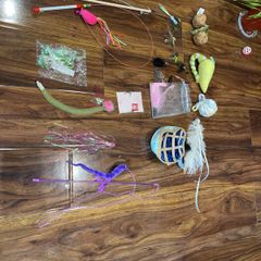 cat toy