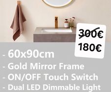 LED Bathroom Mirror Oval Gold Frame Antifog Fog Free Dual LED