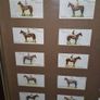 Vintage 1933 John Player & Sons "Derby Winners" Cigarette Card Framed Display Image 5