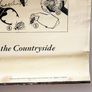 Vintage 1950's Shell Nature Study Beetles poster Image 5
