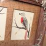 19th Century Oak Framed Feather Art Image 3