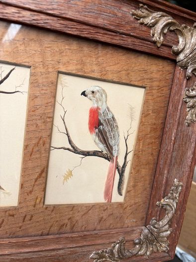 19th Century Oak Framed Feather Art