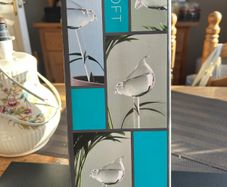 Plant Self Waterer