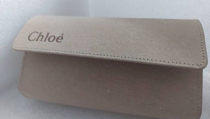 An Unrivalled Investment in High Fashion  The Chloe Gayia