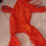 Dog raincoat Image 2