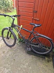 Carrera Bike