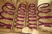 CITROEN C2 C3 High Quality Lowering Springs VOGTLAND Germany