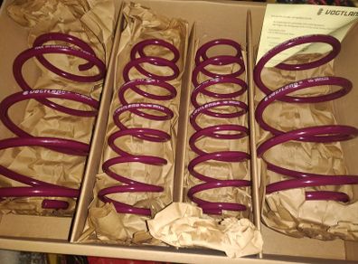 CITROEN C2 C3 High Quality Lowering Springs VOGTLAND Germany