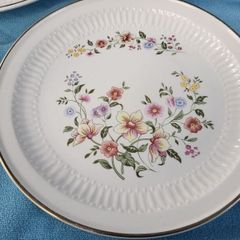 carraigaline  dinner plates