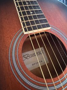 brunswick guitar