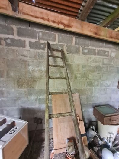 Antique Ladder