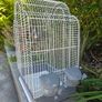 Bird cages Image 4