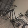 kellys push bike Image 7