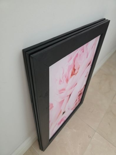 3 pictures with frame 53x72 cm