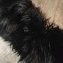 Black fur collar and extra piece of the same fur Image 2