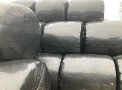 Bales of silage