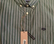 Paul Costelloe green shirt
