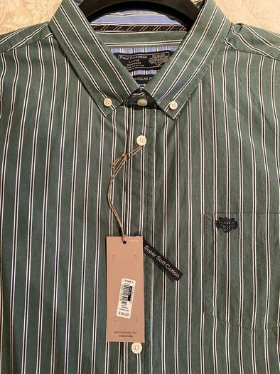 Paul Costelloe green shirt