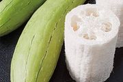 Luffa seeds