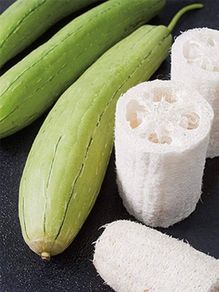 Luffa seeds