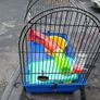 Hamster Cage Image 2