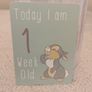 Disney Baby 30 Milestone Cards set Image 7
